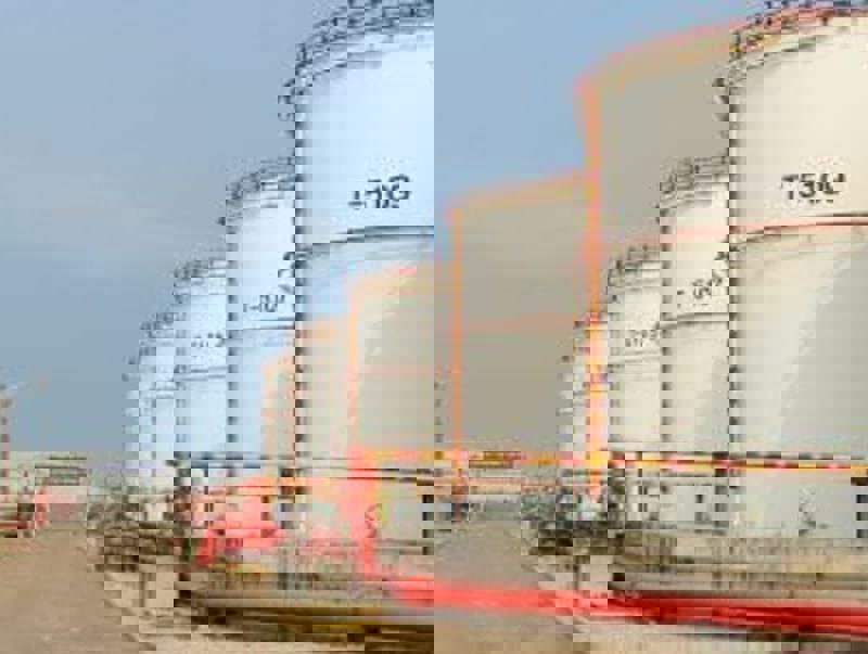 module image